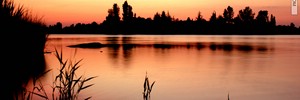 DSC_1553_6M_1024.JPG